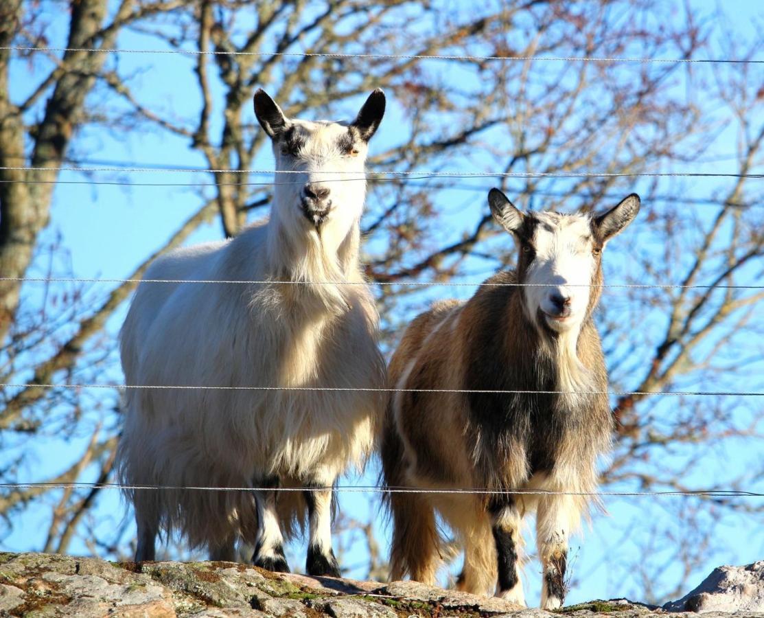 J A Ranch Bed & Breakfast Stromsnasbruk Buitenkant foto