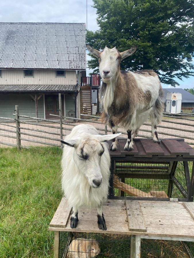 J A Ranch Bed & Breakfast Stromsnasbruk Buitenkant foto